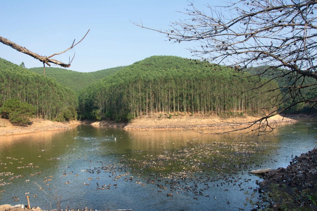 实地考察旧天堂巴运山选址.jpg